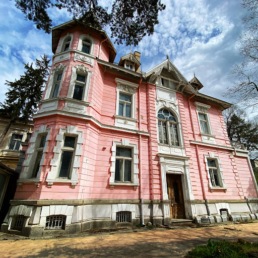 Шипковата къща