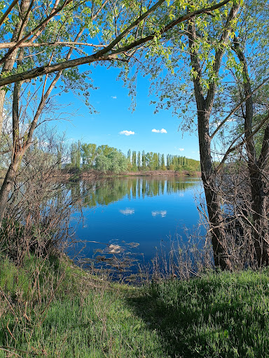 Защитена местност “Злато поле”