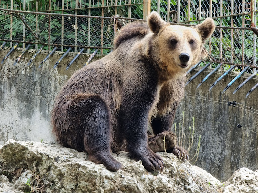 Зоологическа градина Плевен